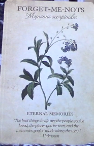 Botanical Inspirations Deck & Book Set